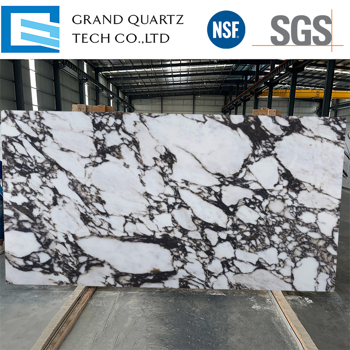 Full Body Printed Quartz GQ-T524.jpg