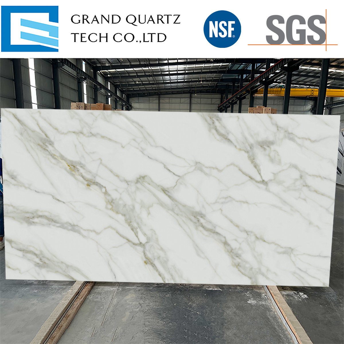 Full Body Printed Quartz GQ-T526.jpg