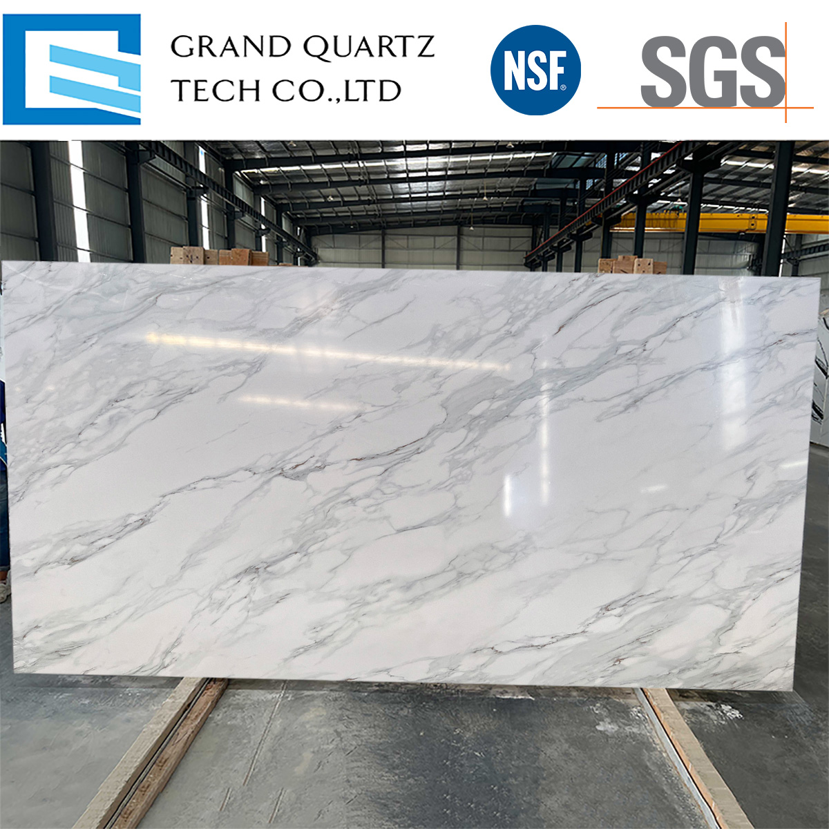 Full Body Printed Quartz GQ-T528.jpg