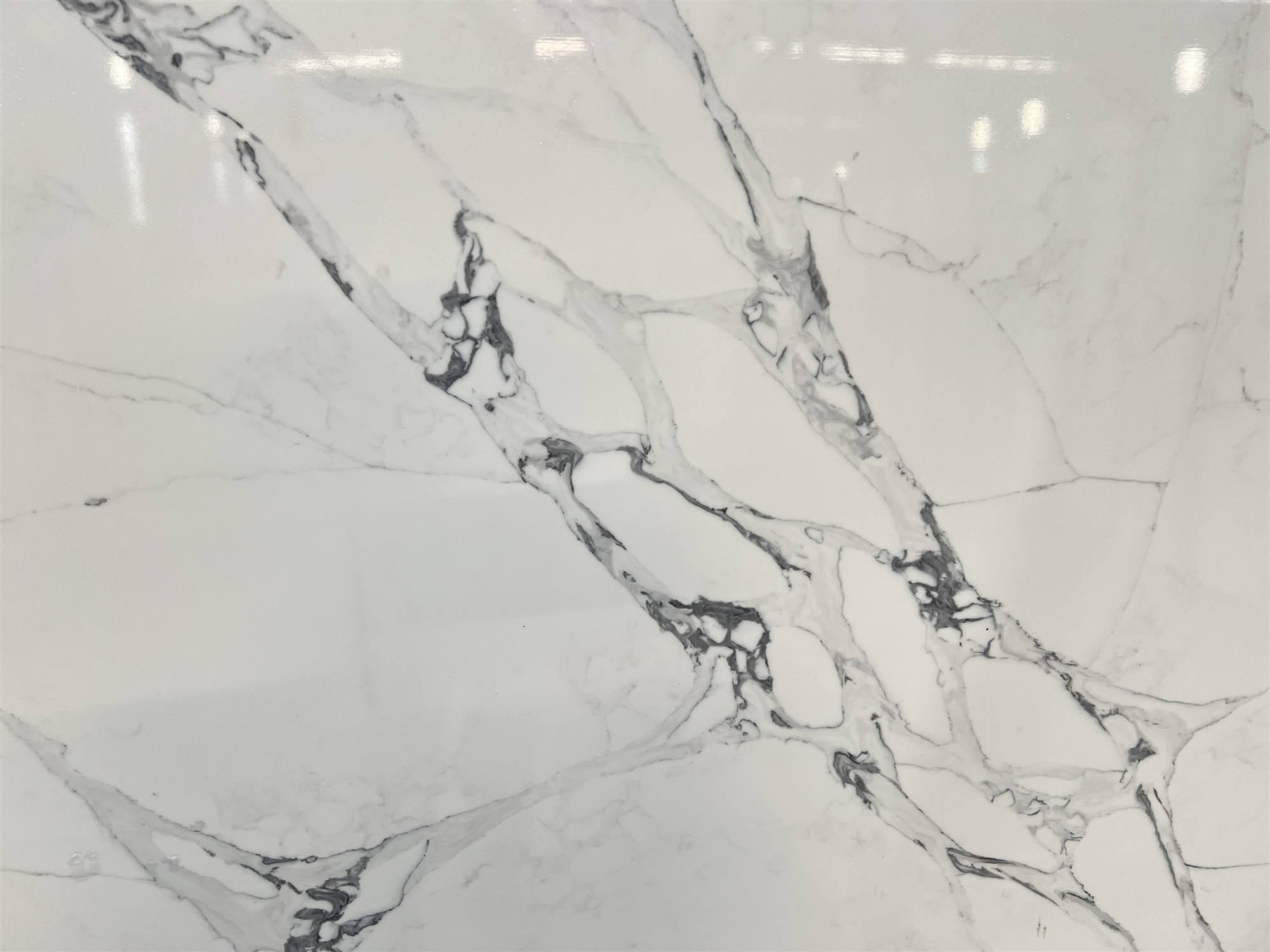 GQ-T418 close up.jpg 