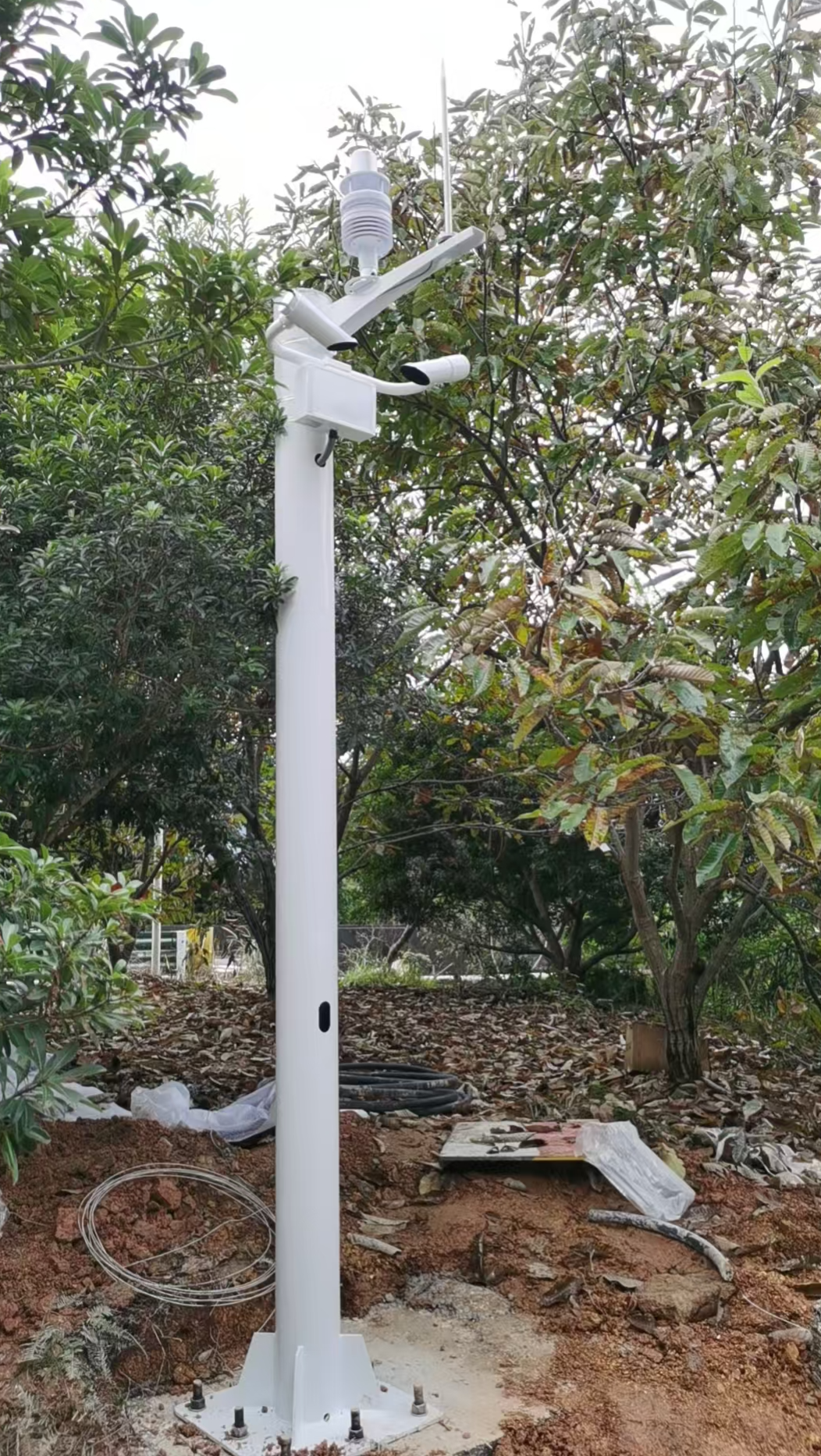 mmexport1765196038510