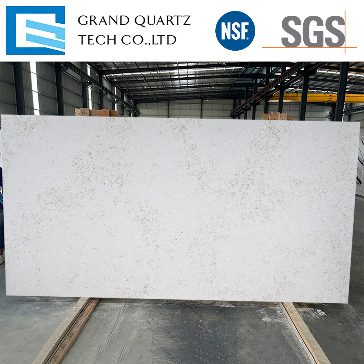 Carrara-Gold-White-Quartz-Stone-Slabs-for-Countertops-GQ-T293.jpg
