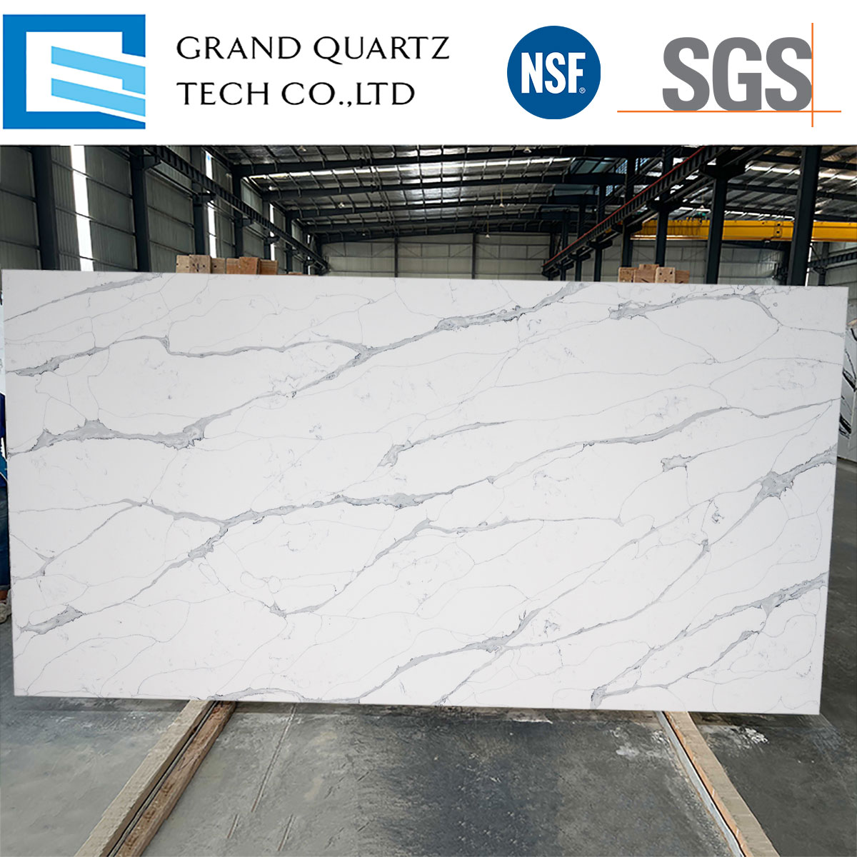 Calacatta-Node-Marble-Look-Quartz-Slab-GQ-T219.jpg
