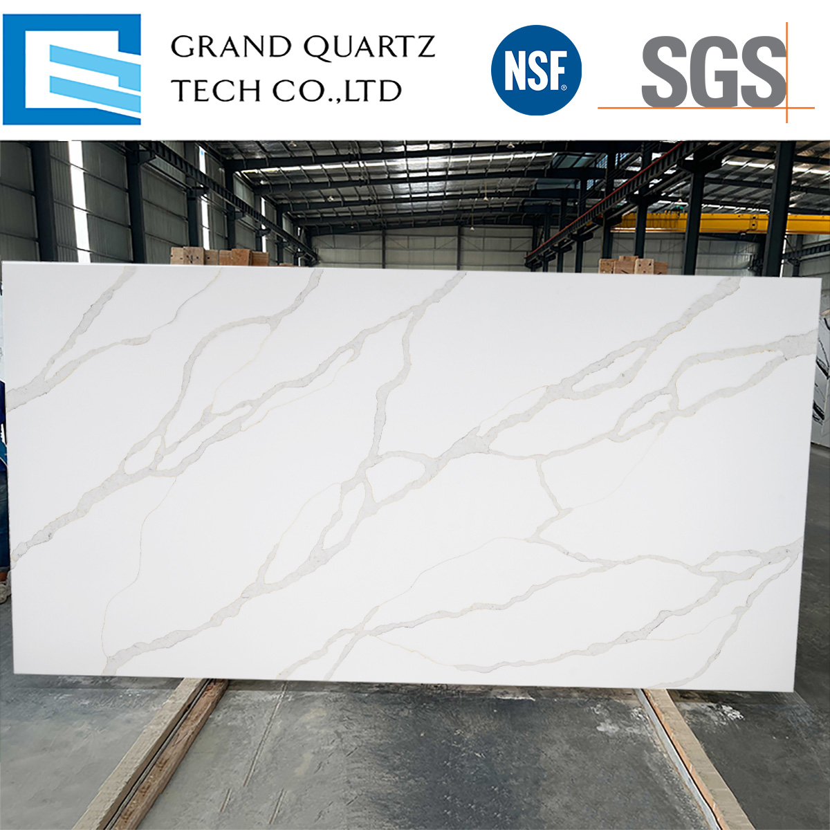 Thailand-Classic-Calacatta-Quartz-Slabs-GQ-T265.jpg