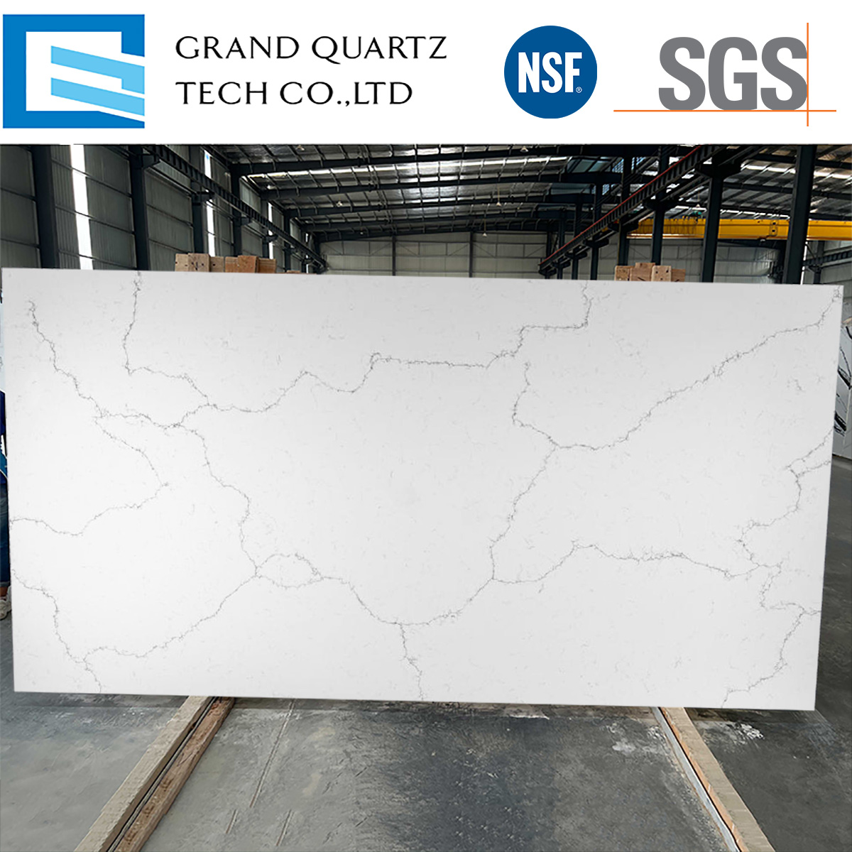 Calacatta Essence Quartz GQ-T367 | White with Fine Gray Web Veining GQ-T367  