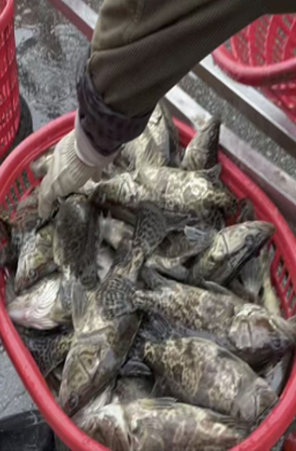  Hua Chuang Agriculture-Case03-2.jpg