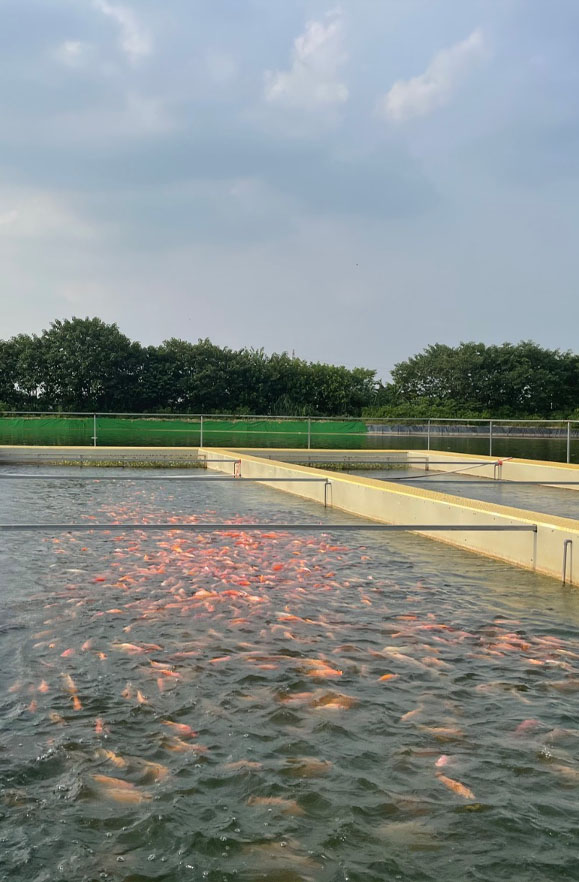  Hua Chuang Agriculture-Case01-3.jpg