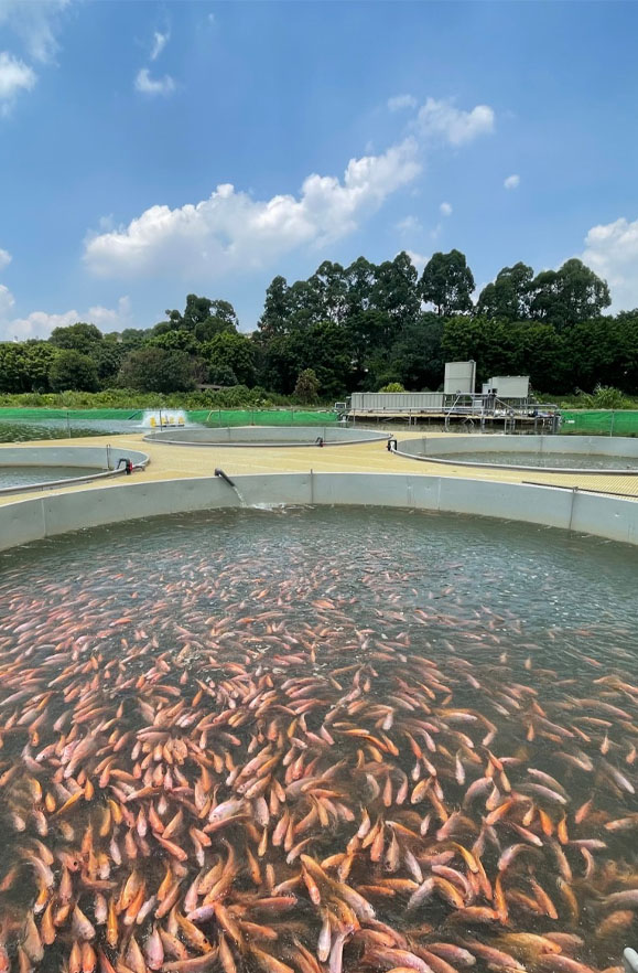  Hua Chuang Agriculture-Case01-2.jpg