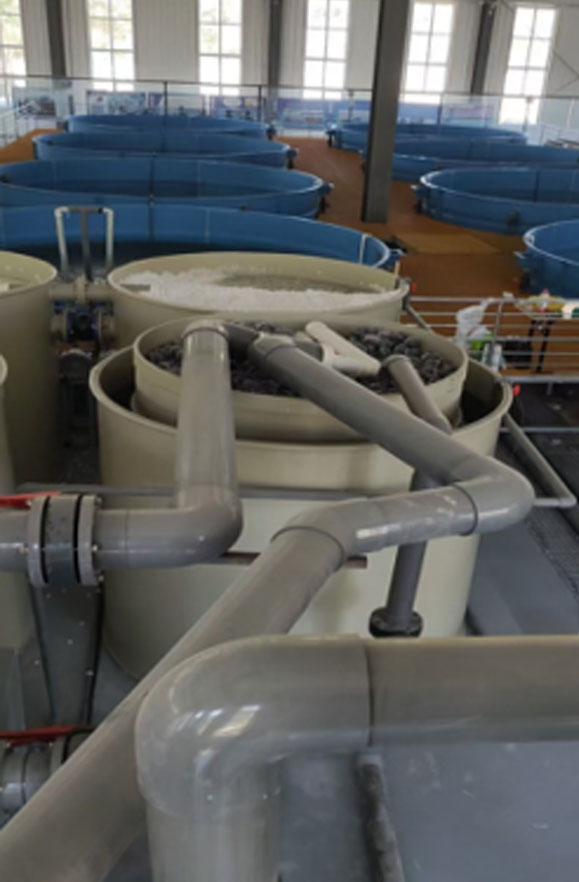  Hua Chuang Agriculture-Case02-2.jpg