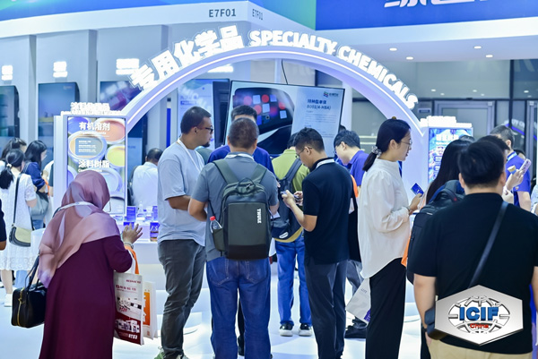 ICIF-Picture14.jpg