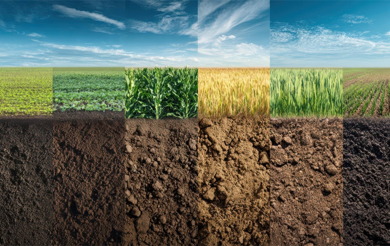 Soil Moisture Sensing Solutions-yigusensor.jpg