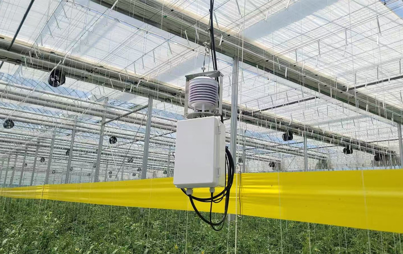 Greenhouse Environmental Monitoring & Control Solutions-yigusensor.jpg