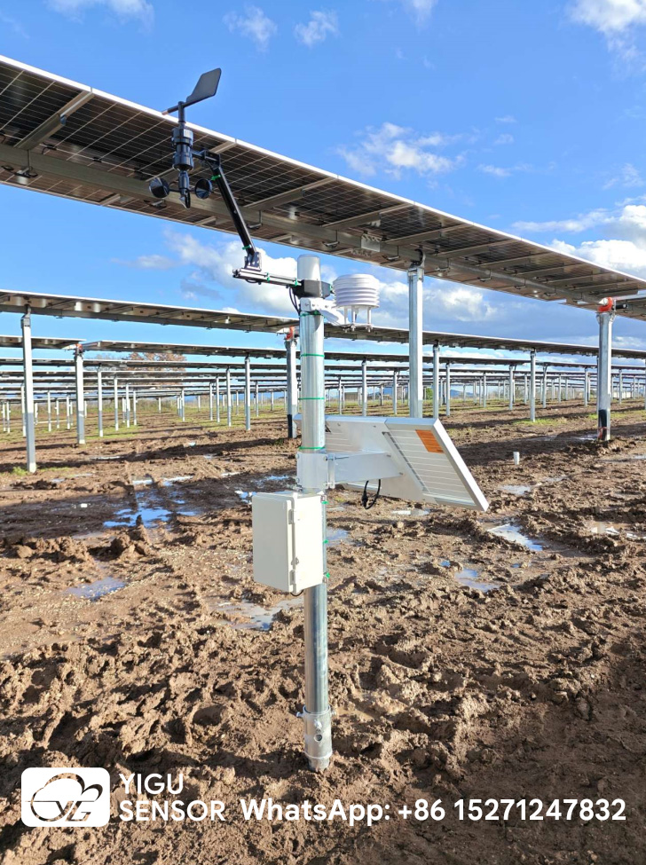 Wuhan Chenyun Tech Deploys PV Weather Stations for Agrivoltaic Projects in Italy-01.jpg