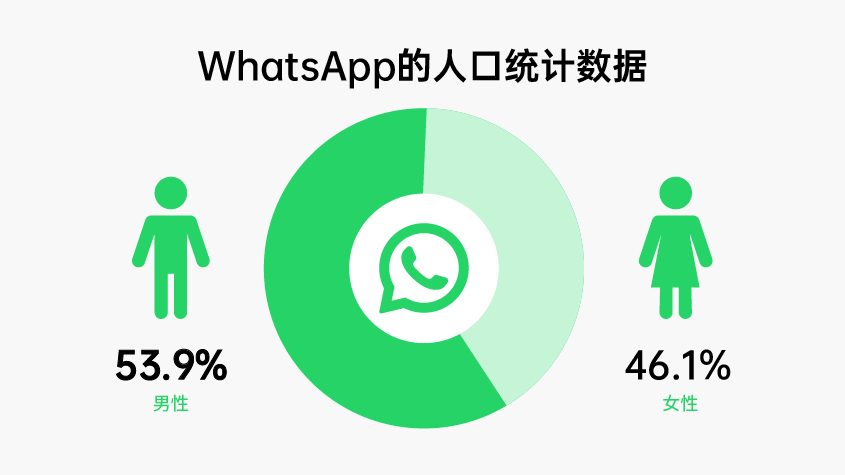 WhatsApp的人口统计数据.png