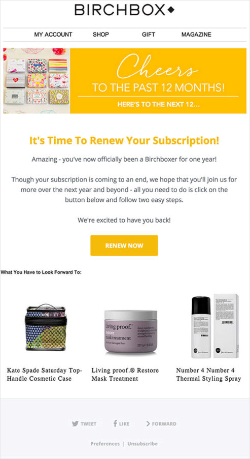 3subscription-renewal-email-example.png 